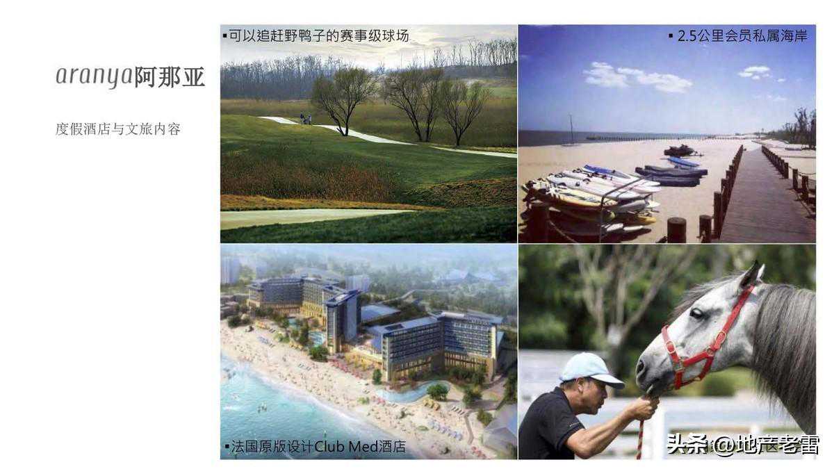 从2025年的年报看地产公司们如何看待未来的房地产市场 从2025年的年报看地产公司们如何看待未来的房地产市场