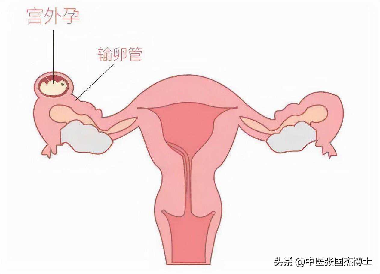 属虎人注意!2025年4月7日这三个机会别错过,运势关键点全解析! 属虎人注意!2025年4月7日这三个机会别错过,运势关键点全解析!