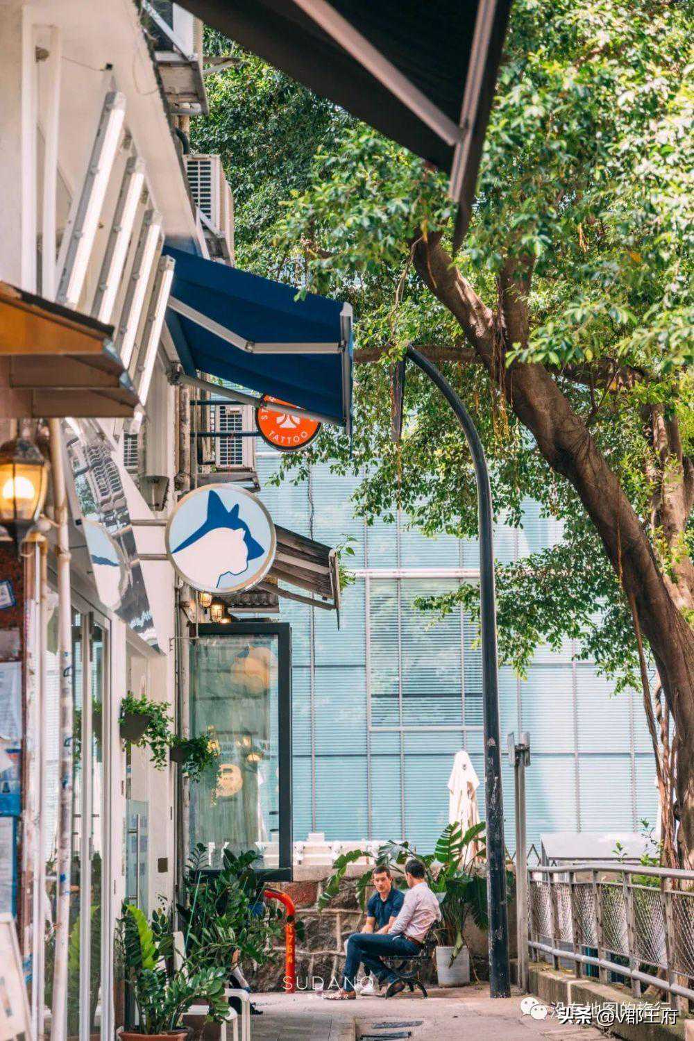 今年,生肖猪的运势更是如日中天,天时地利人和 今年,生肖猪的运势更是如日中天,天时地利人和