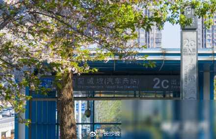 什么是家的好风水，藏在这几个日常细节里