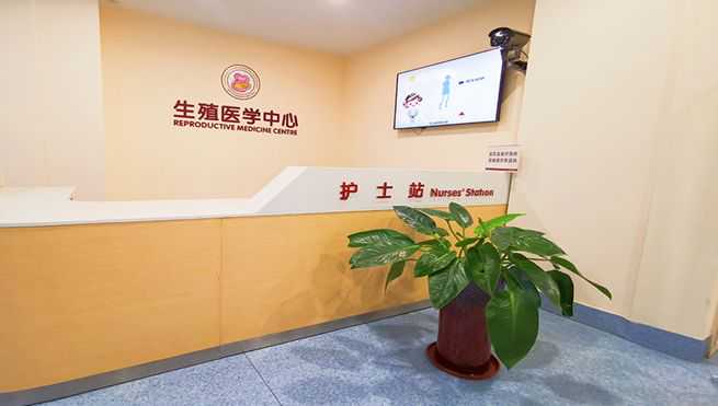 属鸡人2025生存指南：解锁全年运势密码，迈向人生新高度