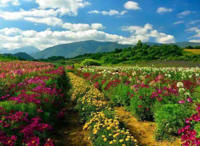 改变运势就靠这三招：读书、运动、做自己