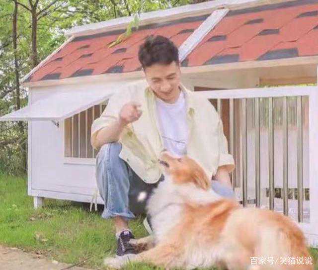 哪些星座运气好