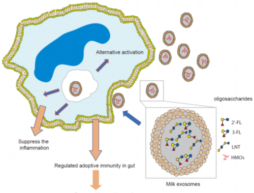 捡钱和丢钱,哪个情绪波动更大? 捡钱和丢钱,哪个情绪波动更大?