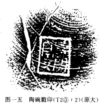 灵蛇献瑞启新章，2025属蛇人运势狂飙！逆风翻盘，人生大赢家！