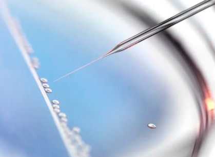 生肖+星座办公桌运势：生肖猴宜放绿萝，水瓶座需笔筒聚财