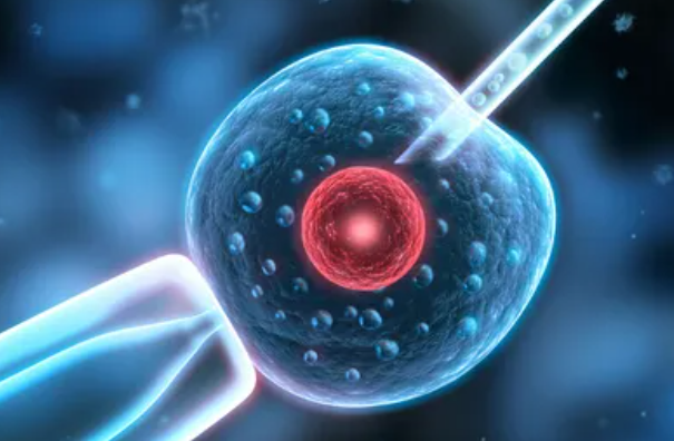 星盘中的那些符号、数字你认识吗？