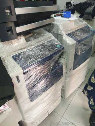 1945年到1993年不同年份的生肖鸡，明年本命年的运势