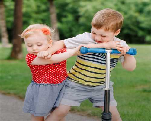 属猪人必知！全年避坑指南速收