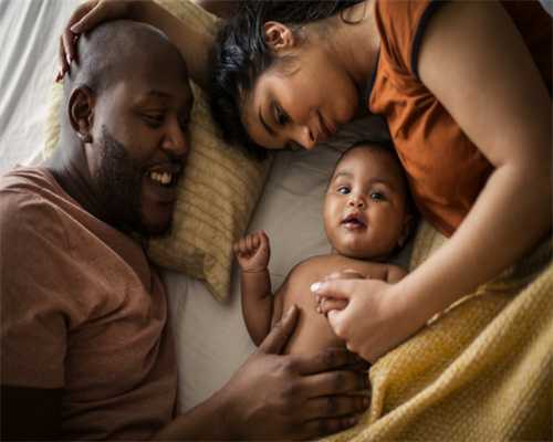 探索生肖：起源、含义与文化的深刻内涵