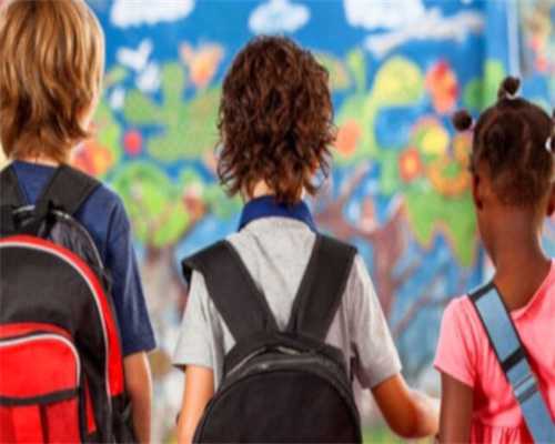 学员科目二练出穿墙术!驾校:车比墙硬 学员科目二练出穿墙术!驾校:车比墙硬