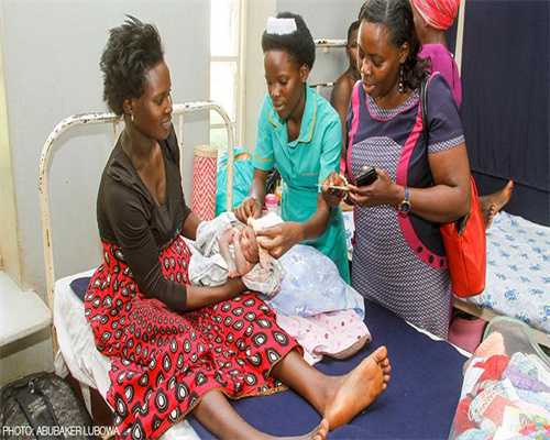 属狗人：2025，富贵运势大揭秘