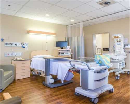 家里这花美如画，猫咪一咬却致命，你还敢养吗？