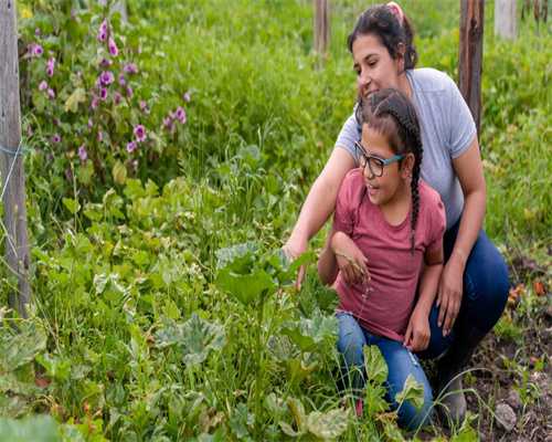 25年4月狮子座运势大爆发！事业狂飙、桃花爆棚，这一点必须警惕