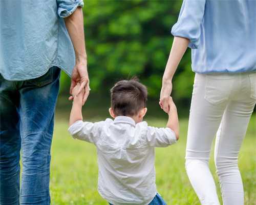 生肖兔周运预警！运势突变如何应对？这份转运指南助你化险为夷