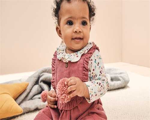 生肖鼠，《易经》揭秘你的三年运势转折，如何承接？